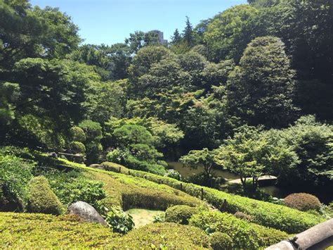 東京 龍脈|池田山公園 